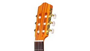 Cordoba C1 Protege Classical Guitar