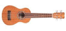 Load image into Gallery viewer, Cordoba 15SM Soprano ukulele
