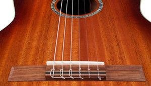 Cordoba C4-CE Iberia Series Classical Guitar