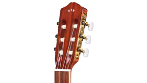 Cordoba C4-CE Iberia Series Classical Guitar